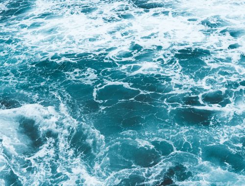 Mitilicoltura sostenibile al Blue Economy Forum