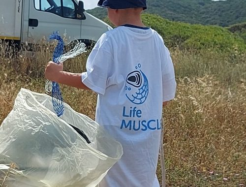 Beach Litter Monitoring. Anche a Torre Mileto, Foggia, raccolta e monitoraggio delle retine per la mitilicoltura
