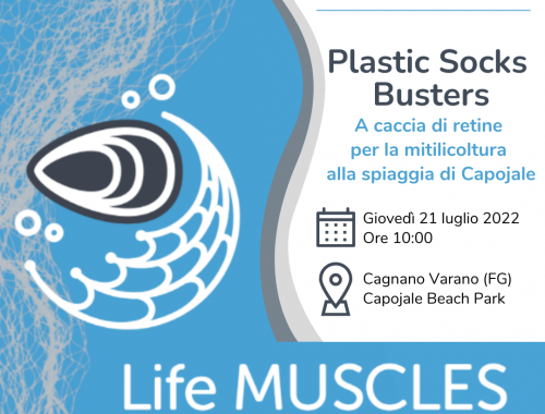 Plastic Socks Busters alla spiaggia di Capojale, a caccia di retine in Gargano