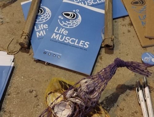 Executive Action Plan di LIFE MUSCLES