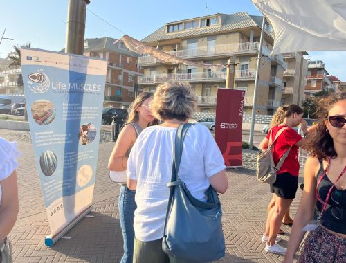 Ostia, un mare di cultura…e mitilicoltura