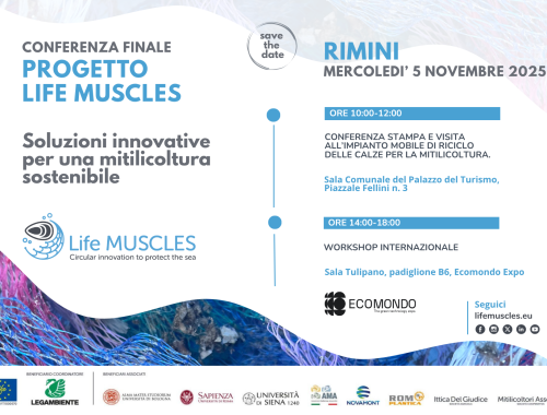 Soluzioni innovative per una mitilicoltura sostenibile. Programma dell’evento finale di Life Muscles. Rimini 5 novembre 2025