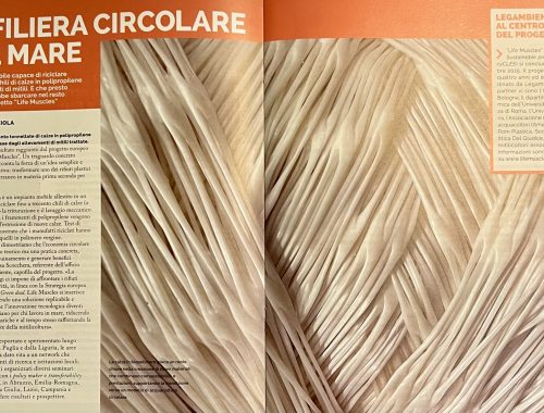 La rassegna stampa della final conference di LIFE MUSCLES e l’approfondimento su Rifiuti Oggi