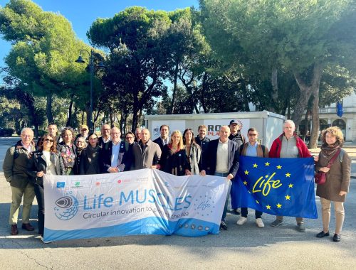 Presentati a Rimini i risultati del progetto LIFE MUSCLES